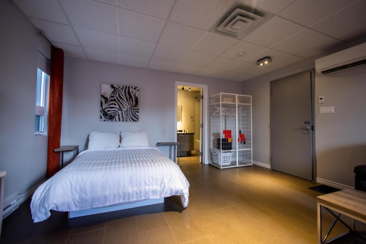 Appartement Le Chic-urbain Rouyn-Noranda